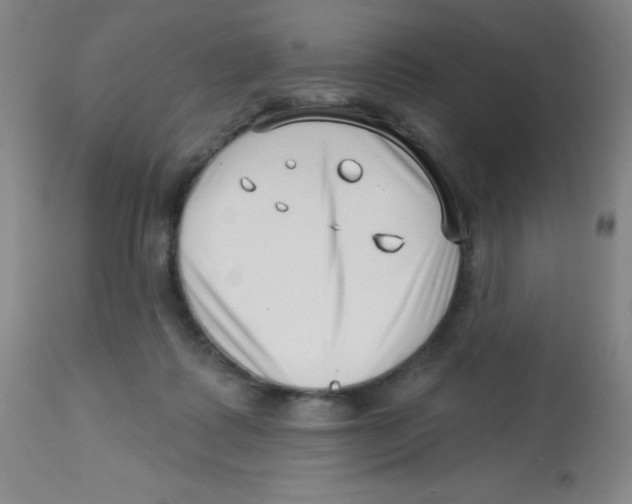 X0000113740315200910211130