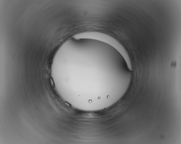 X0000113740316200910211130