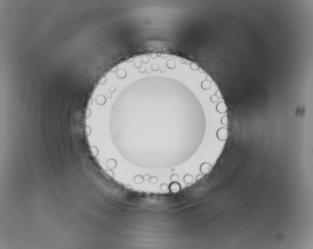 X0000113740317200910211130