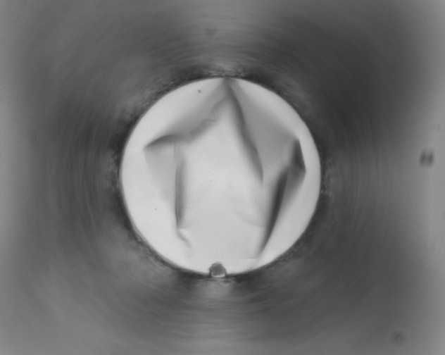 X0000113740318200910211130