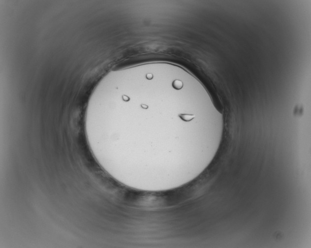 X0000113740319200910211130