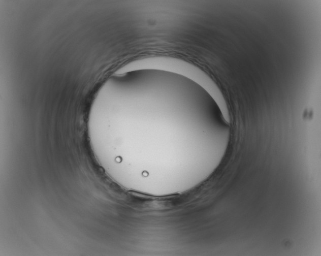 X0000113740320200910211130