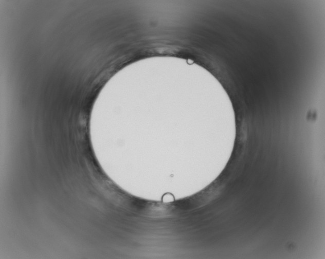 X0000113740321200910211130