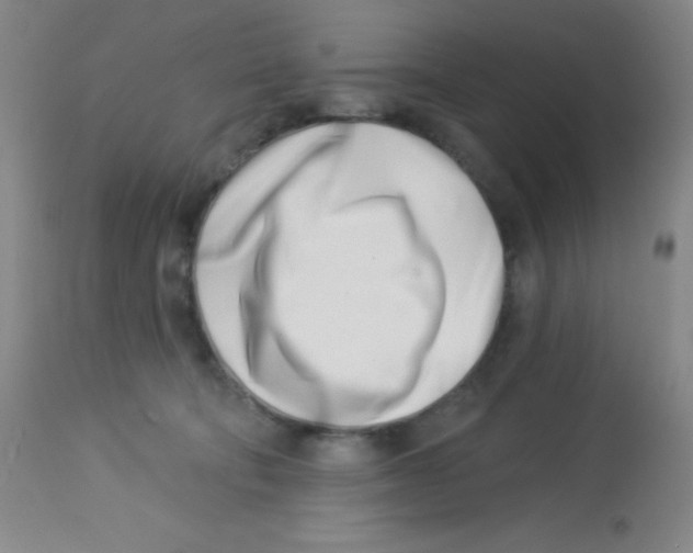 X0000113740322200910211130