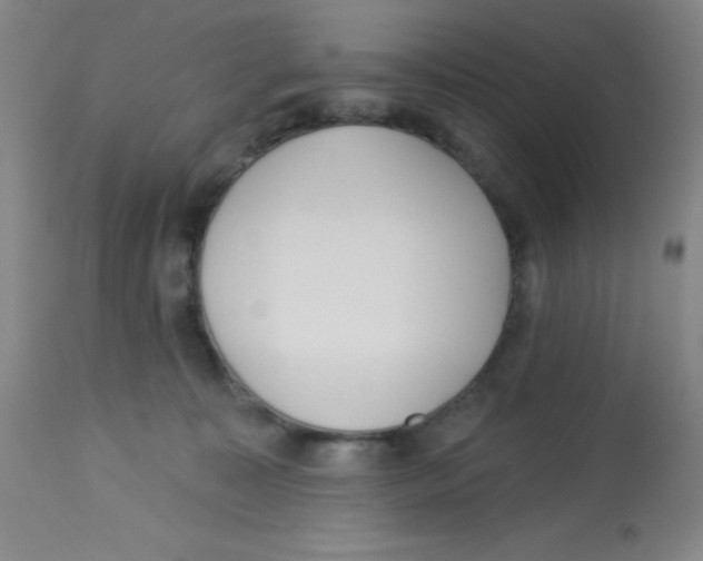 X0000113740323200910211130