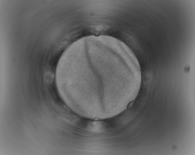 X0000113740324200910211130