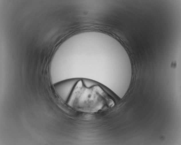 X0000113740325200910211130