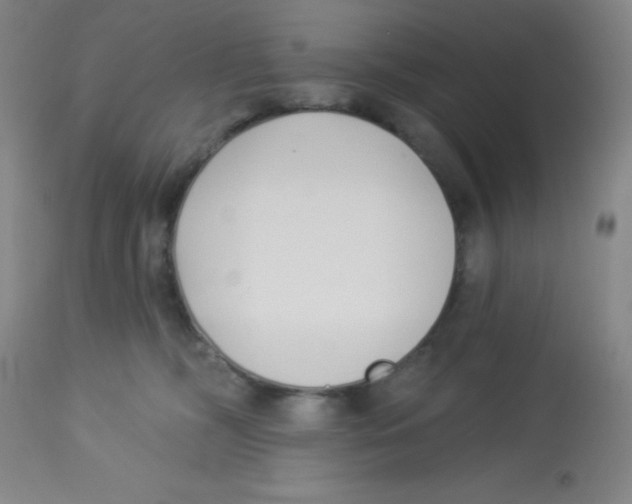 X0000113740326200910211130