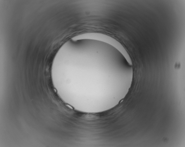 X0000113740327200910211130
