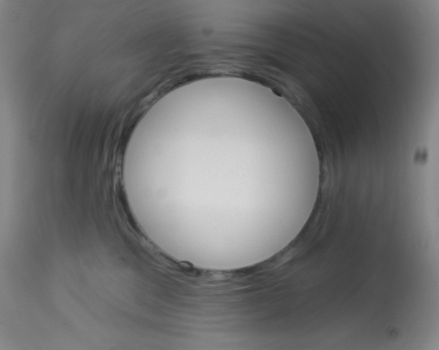 X0000113740329200910211130