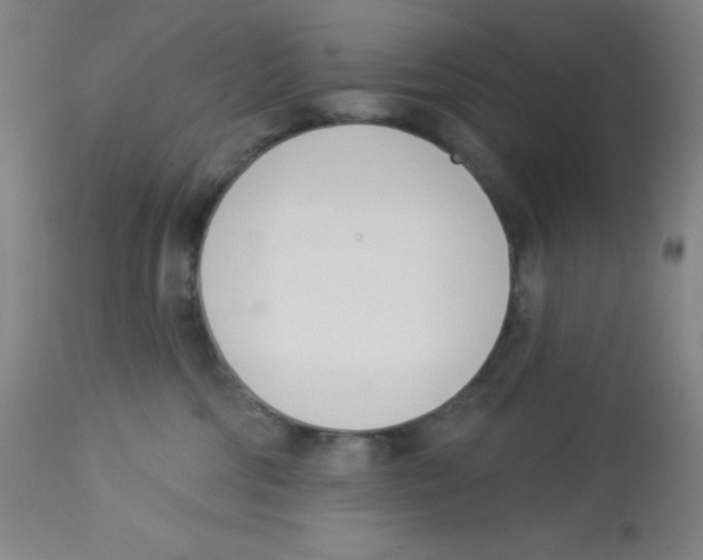 X0000113740330200910211130
