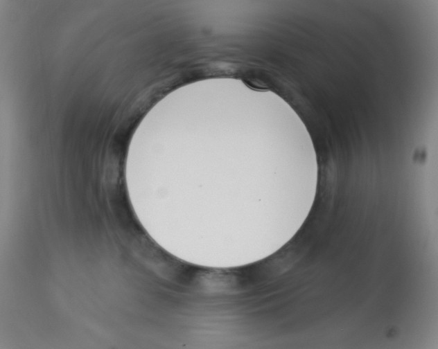 X0000113740331200910211130