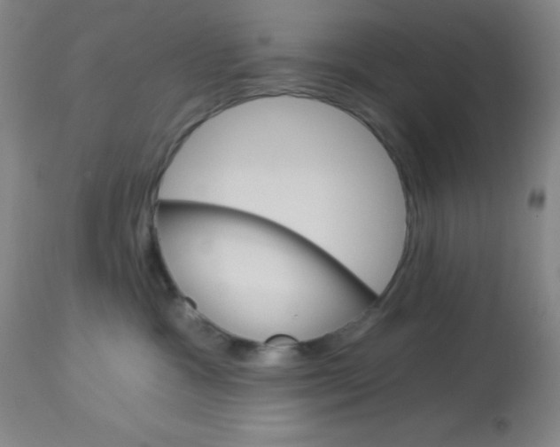X0000113740333200910211130