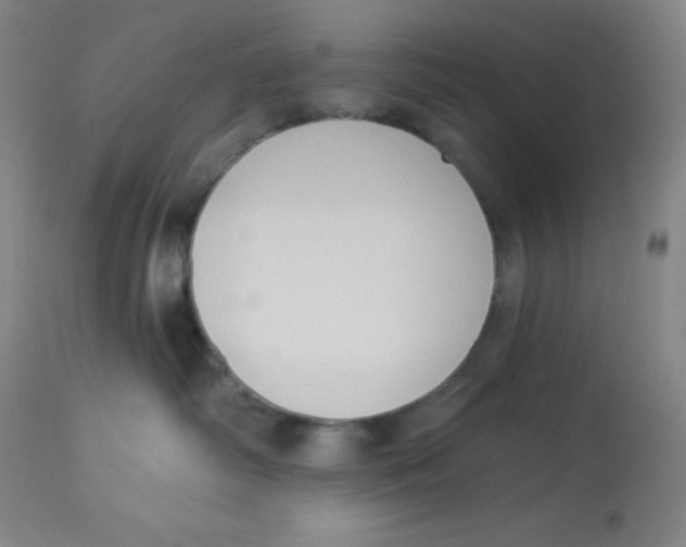 X0000113740334200910211130