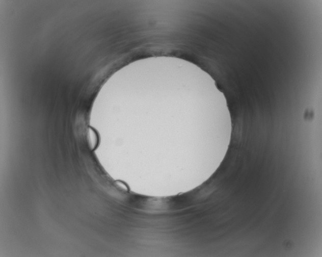X0000113740335200910211130