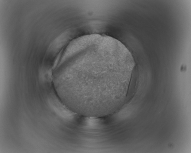 X0000113740336200910211130