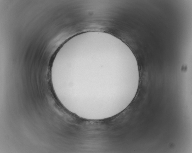 X0000113740338200910211129