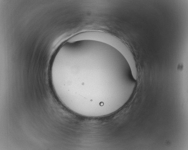 X0000113740340200910211129
