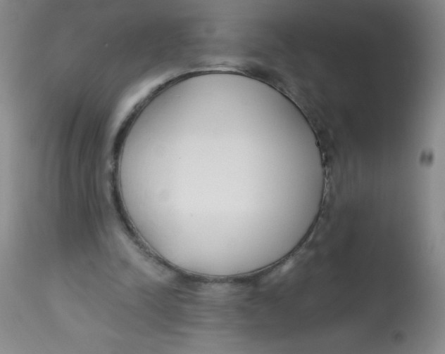 X0000113740342200910211129