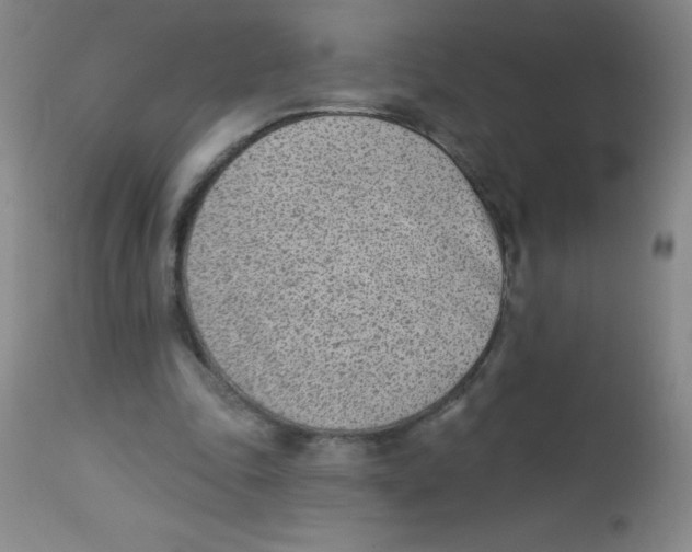 X0000113740343200910211129