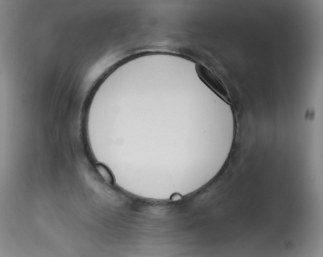 X0000113740344200910211129