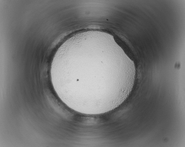 X0000113740347200910211129