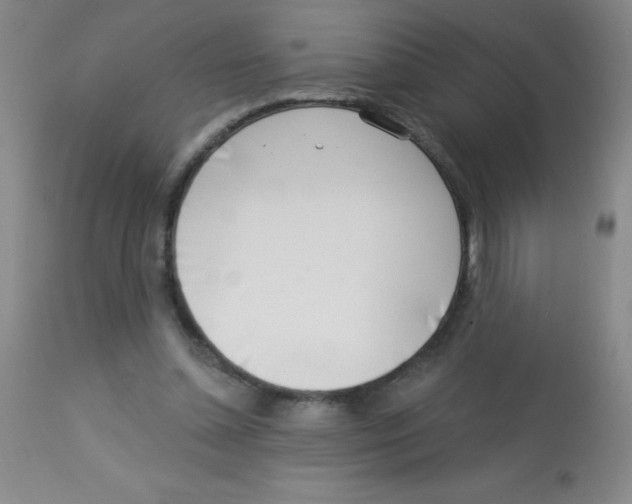 X0000113740348200910211129