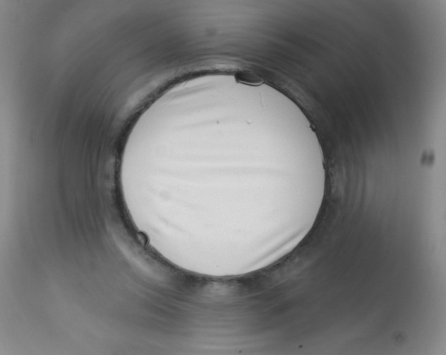 X0000113740350200910211129