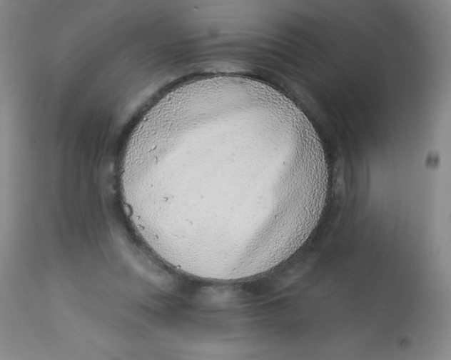 X0000113740351200910211129