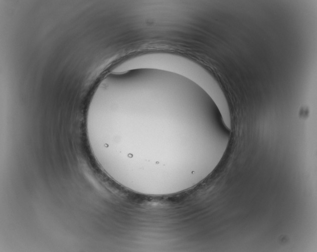 X0000113740352200910211129