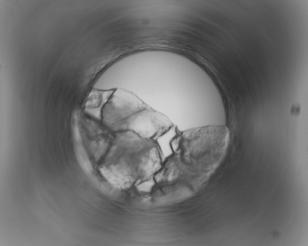 X0000113740353200910211129