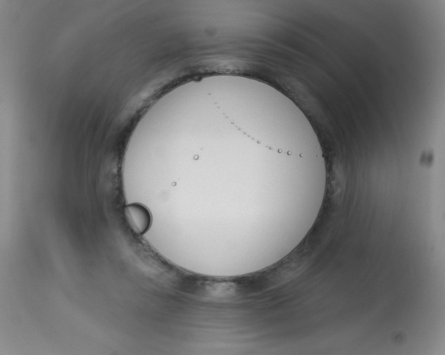 X0000113740355200910211129