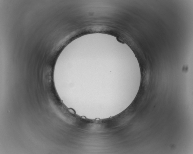 X0000113740356200910211130