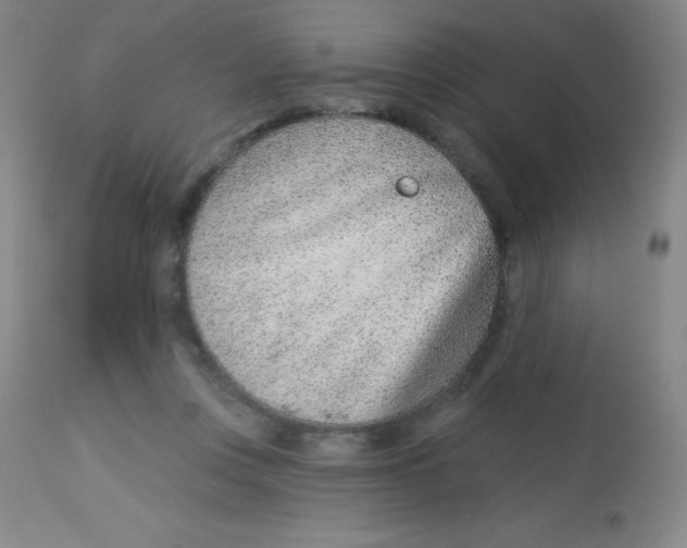 X0000113740359200910211130