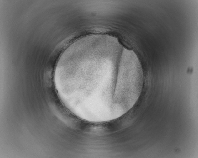 X0000113740360200910211130