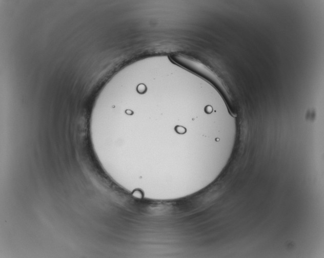 X0000113740362200910211130
