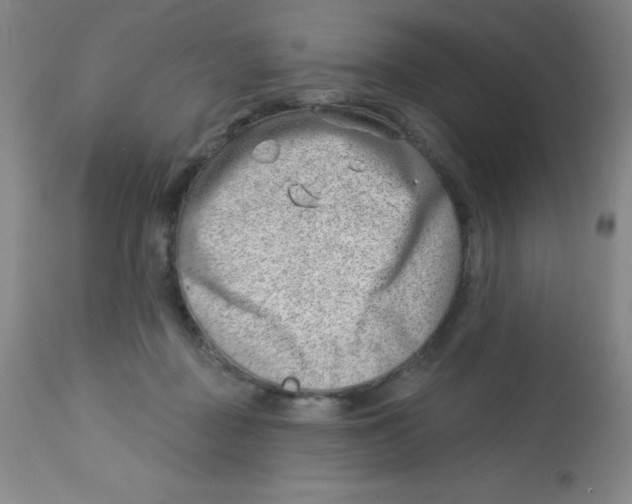 X0000113740363200910211130