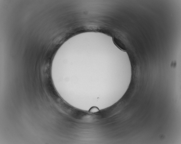X0000113740364200910211130