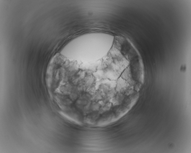 X0000113740365200910211130