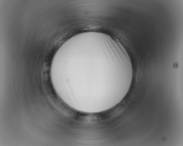 X0000113740366200910211130