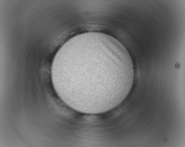 X0000113740367200910211130