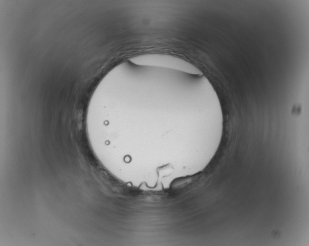 X0000113740368200910211130
