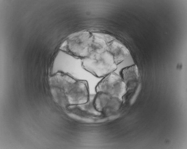 X0000113740369200910211130