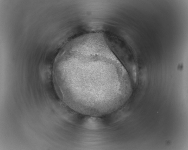 X0000113740372200910211130