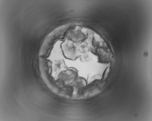 X0000113740373200910211130