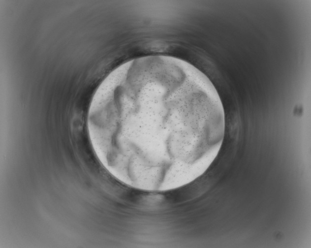 X0000113740374200910211130