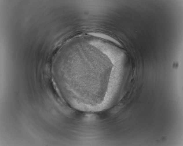 X0000113740376200910211130