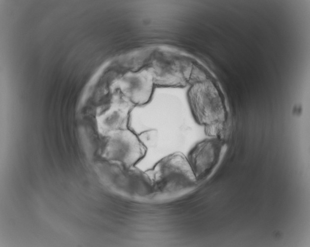 X0000113740377200910211130