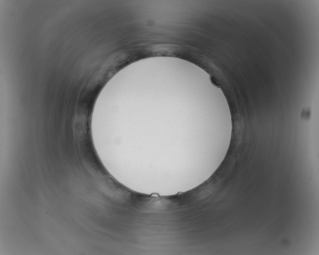 X0000113740379200910211130