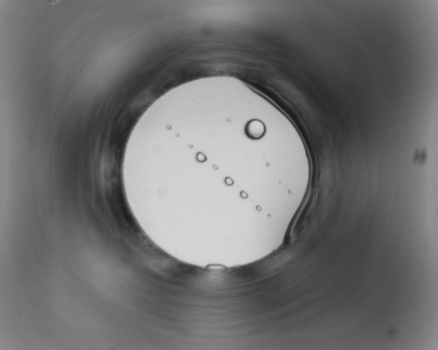 X0000113740382200910211130